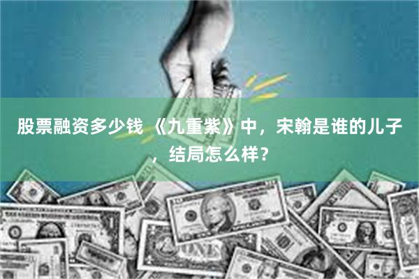 股票融资多少钱 《九重紫》中，宋翰是谁的儿子，结局怎么样？