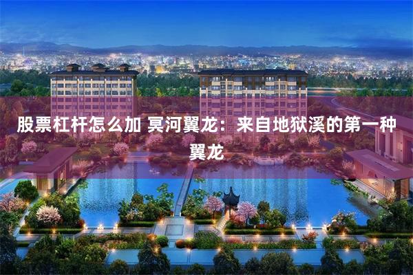 股票杠杆怎么加 冥河翼龙：来自地狱溪的第一种翼龙