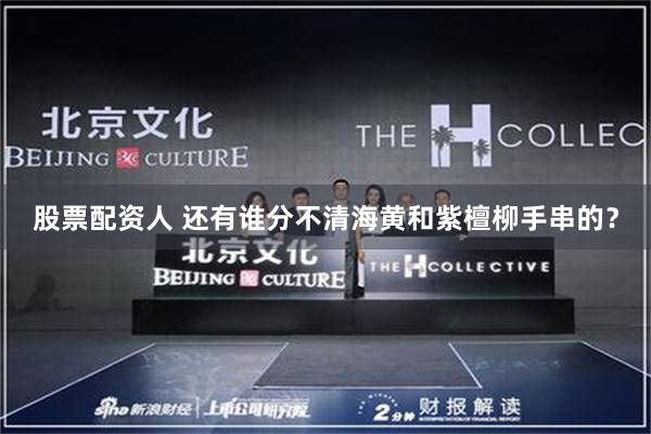 股票配资人 还有谁分不清海黄和紫檀柳手串的？