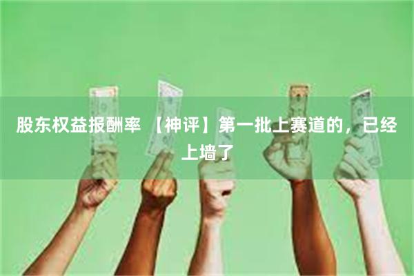 股东权益报酬率 【神评】第一批上赛道的，已经上墙了