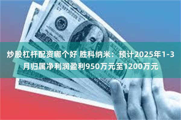 炒股杠杆配资哪个好 胜科纳米：预计2025年1-3月归属净利润盈利950万元至1200万元