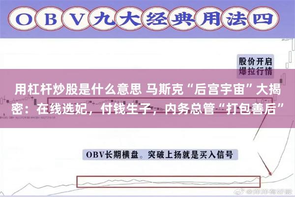 用杠杆炒股是什么意思 马斯克“后宫宇宙”大揭密：在线选妃，付钱生子，内务总管“打包善后”