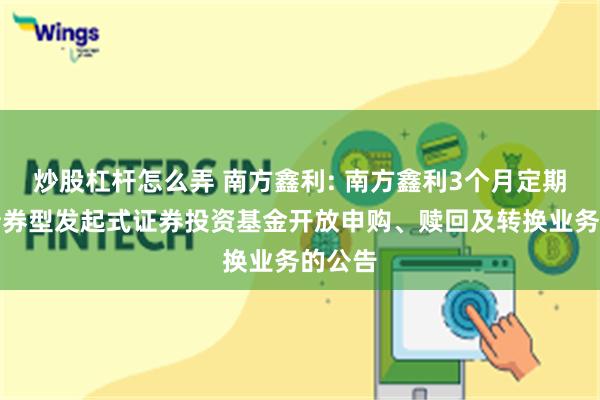 炒股杠杆怎么弄 南方鑫利: 南方鑫利3个月定期开放债券型发起式证券投资基金开放申购、赎回及转换业务的公告