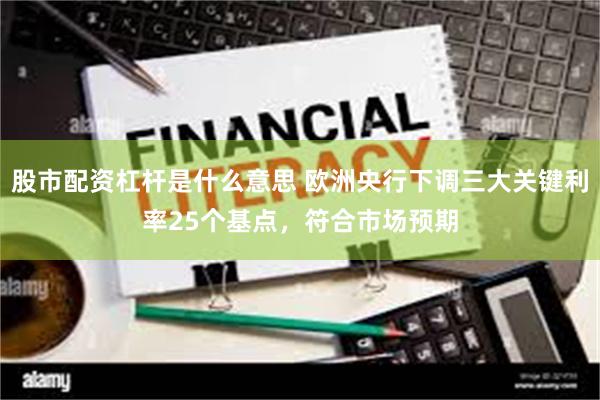 股市配资杠杆是什么意思 欧洲央行下调三大关键利率25个基点，符合市场预期