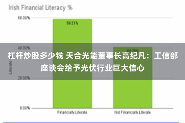 杠杆炒股多少钱 天合光能董事长高纪凡：工信部座谈会给予光伏行业巨大信心