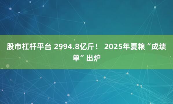股市杠杆平台 2994.8亿斤！ 2025年夏粮“成绩单”出炉