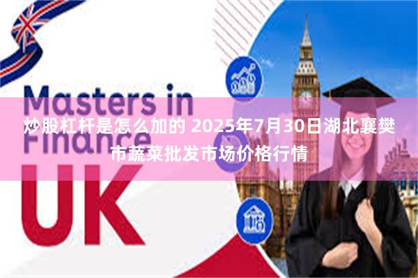 炒股杠杆是怎么加的 2025年7月30日湖北襄樊市蔬菜批发市场价格行情