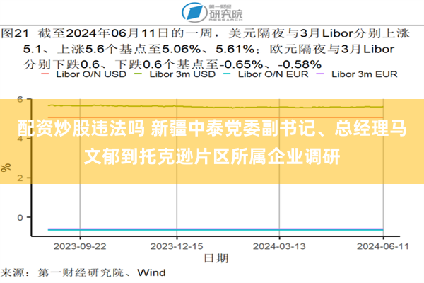 配资炒股违法吗 新疆中泰党委副书记、总经理马文郁到托克逊片区所属企业调研