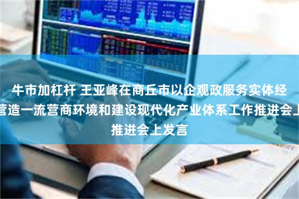 牛市加杠杆 王亚峰在商丘市以企观政服务实体经济、营造一流营商环境和建设现代化产业体系工作推进会上发言